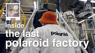 Inside the Last Polaroid Factory in the World  Full tour at Polaroids Netherlands film facility