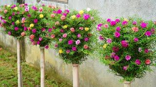 How To Make A Great Vertical Garden For A Small Garden With Plastic Bottles