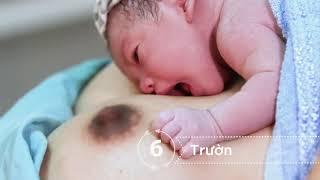 Nine instinctive steps to breastfeeding - Vietnamese