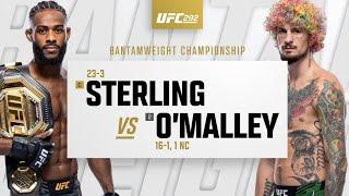 UFC 292 Aljamain Sterling vs Sean OMalley Highlights
