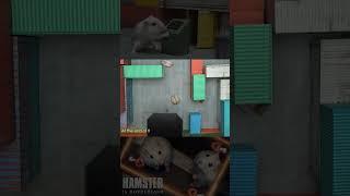 Hamster In Borderland  part 1 #shorts