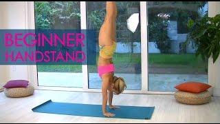 Beginner Yoga Handstands with Kino