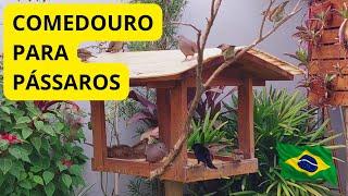 Tratador com grãos para pássaros livres