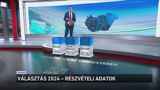 Választás 2024 - részvételi adatok