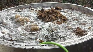 Easy Recipe For Making LOTS Of Compost Tea