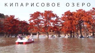Кипарисовое озеро в Сукко и Большой Утриш - где находится цены как добраться на машине