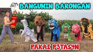 #eps4 BANGUNIN BARONGAN BARONGSAI SAPI KUDA PAKAI MERCON P3TASAN SAMPAI KAGET