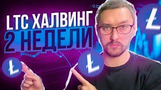 ЧТО ТАКОЕ ХАЛВИНГ ЛАЙТКОИНА LTC И ЗАЧЕМ ОН НУЖЕНВСЁ ЧТО НУЖНО ЗНАТЬ НОВИЧКУ