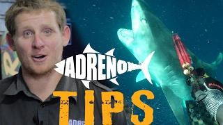 Spearfishing with Sharks Tigers White Pointers Bullsharks   ADRENO