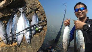 BEST PLACE TO CATCH BONITOTUNA IN MUSCAT OMAN