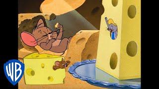Tom & Jerry  Say Cheese  Classic Cartoon Compilation  WB Kids