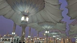 Как за 3 минуты раскрываются большие зонты на площади мечети Пророка в Медине