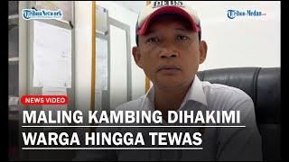 DETIK-DETIK Maling Kambing Dihakimi Warga Hingga Tewas