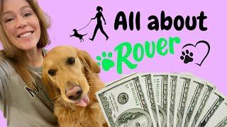 $$$ My Experience Pet Sitting on Rover  Pros and Cons What You Need to Know