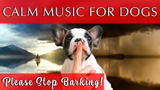 Music to Help Dogs Stop Barking Does it Work?