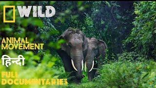 wild best movement  animal planet hindi documentary  discovery channel hindi 2023  nat geo India