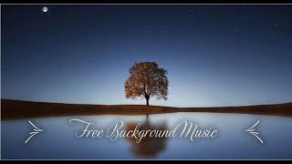 1 Hour Upbeat Background Music Best MBB Music Collection Free Download No Copyright