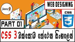 HTML & CSS Web Designing 02 - CSS Beginner Complete Course - Sinhala