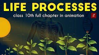 Life Processes Class 10 full Chapter Animation  Class 10 Science Chapter 6  CBSE  NCERT