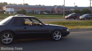 Nasty Notchback Foxbody 5.0 Mustang LX️#StalkingCars