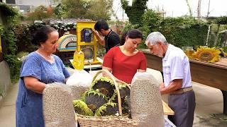 We made sunflower oil in the village and cooked 5 types of food from that oil