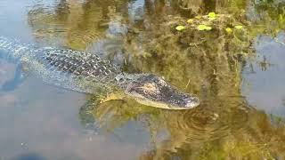 Orlando Wetlands Park