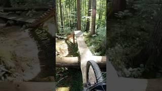 Nice North Shore in the middle of the flow trail in Scott Bike Park Oberammergau