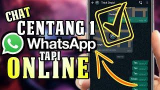 Cara membuat pesan WhatsApp centang 1 padahal online