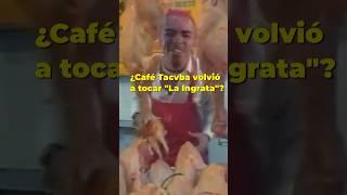 🟡¿Café Tacvba volvió a tocar la Ingrata? #cafetacvba #viral #parati #musica