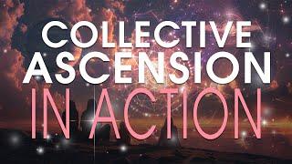 It is Real The Collective Ascension in Action