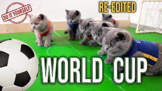 Remake Piala Dunia Antar Kucing ️ Kucing Bermain Sepak Bola Anak Kucing Inggris