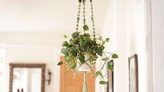 Macrame Plant Hanger - DIY Craft Tutorial