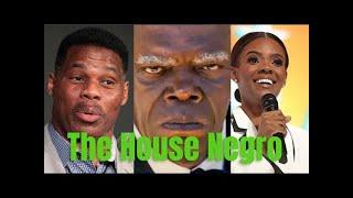 THE HOUSE NEGRO SYNDROME IS BIBLICAL PT1