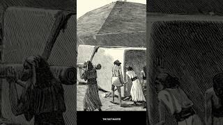 Pyramids built by Slaves?  Myths of Pyramid #shorts