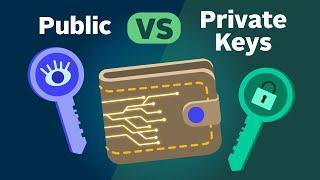 How Public and Private Key Work In Your Crypto Wallets