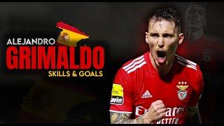 Alejandro Grimaldo IS FANTASTIC  - Best Goals e Skills 2024  HD