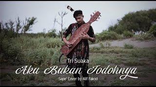 Tri Suaka - Aku Bukan Jodohnya Sape Cover by Alif Fakod