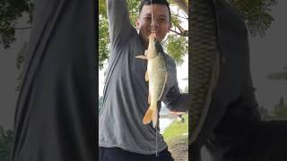 mancing nila malah dapat tombro #tombro #mancing #mancingmania #fishing #fishingvideo #fishinglife