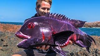 10 Most Unique Fish In The Ocean
