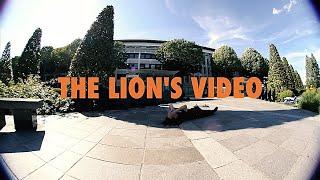 The Lions Video