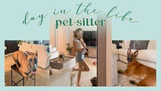 day in the life  pet-sitter edition with advice + tips 