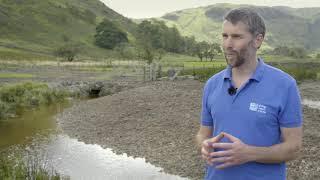 More wiggles and wetlands for Haweswater