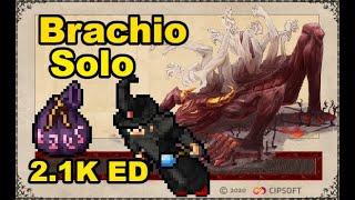 Bobeek - Goraca - 2100+ ED Brachiodemons Solo - High Level Soul War Hunt