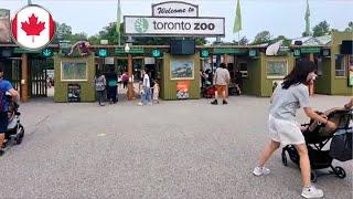 Toronto Zoo Tour Walkthrough All Animals Full Video