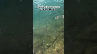 Buradan bile balıksız dönecek arkadaşına gönder #music #80smusic  #fiahing #fishhunting #fish #fypシ