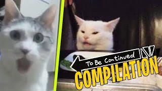 TO BE CONTINUED COMPILATION Funny Animal Fails