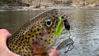 Fishing with the FIRST GOOGAN TROUT LURE AMAZING Underwater Footage