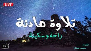 تلاوة هادئة قبل النوم️ تساعدك على راحة البال بصوت القارئ محمد هشام Quiet Recitation