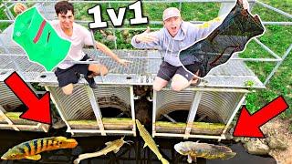 1v1 Fish Trap CHALLENGE in the Florida Everglades for EXOTIC FISH
