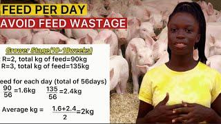 Amount of FEED for PIGS in a day  PIG FEEDING at Weaner Grower and finisher stages.